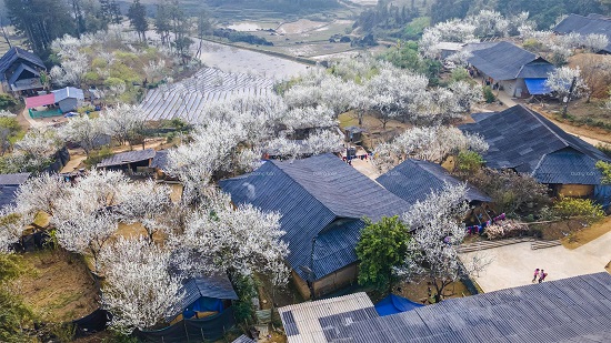 Sapa, Vietnam : Weather,Climate, Seasons